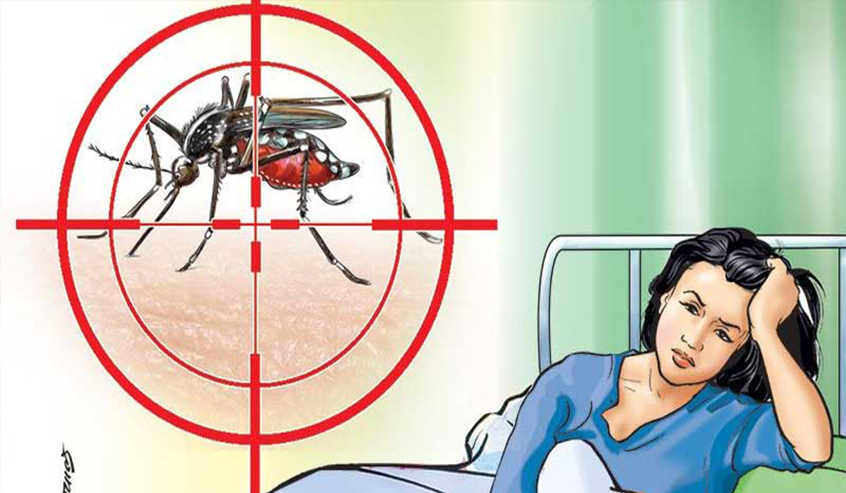 ७४ जिल्लामा डेंगुको संक्रमण फैलियो, लुम्बिनीमा २२ जनामा संक्रमण पुष्टि